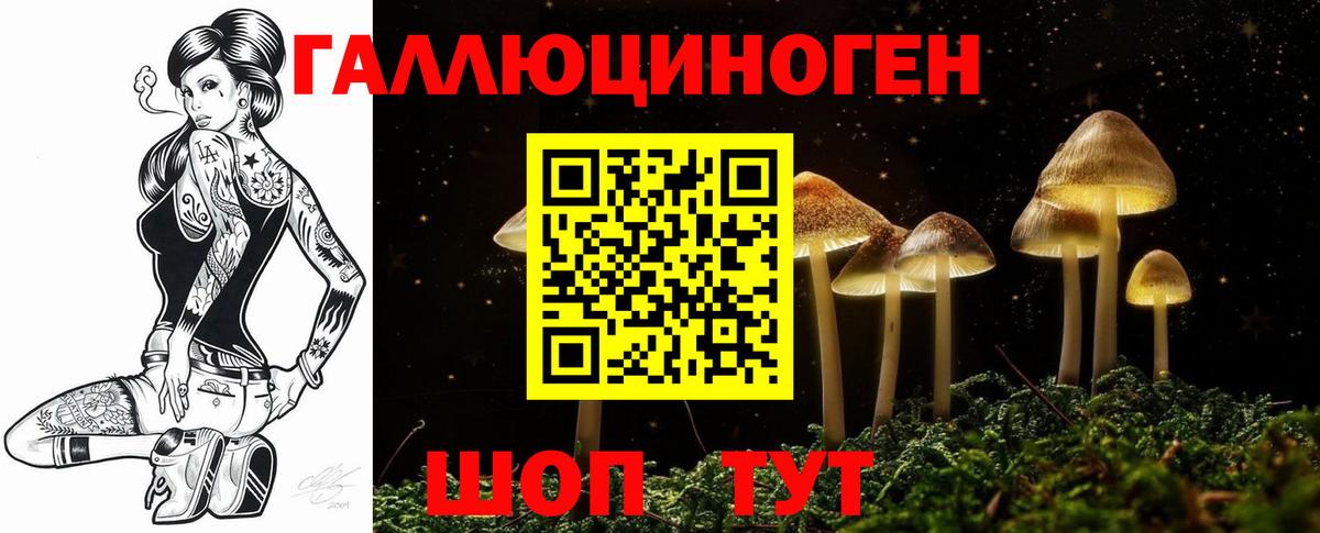 купить  цена  Галлюциногенные грибы мицелий  Вход с VPN  Усть-Илимск  Псилоцибиновые грибы Cubensis 